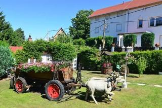 Pension Wansner, Dresden