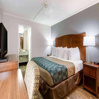 Room Room