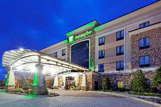 Holiday Inn Arlington Ne-Rangers Ballpark