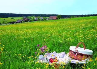 Krone Igelsberg, Freudenstadt