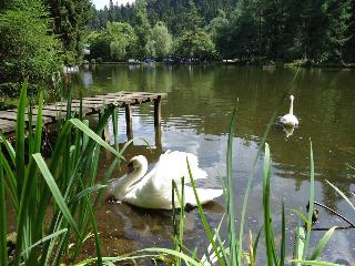 Langenwaldsee, Freudenstadt