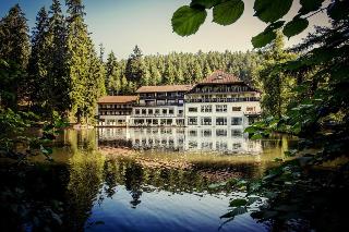 Langenwaldsee, Freudenstadt