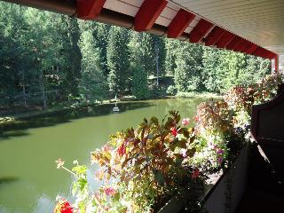 Langenwaldsee, Freudenstadt