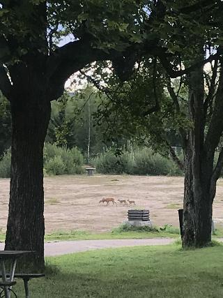 Klackbergsgården