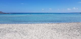Sunny Bay