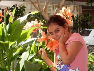 Aysev