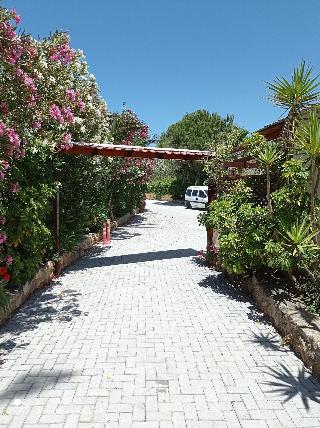 Alexandros Studios