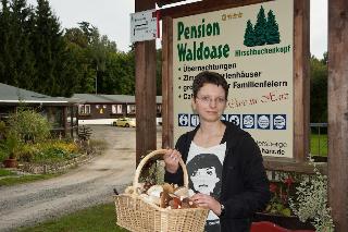 Pension Waldoase Hirschbuchenkopf, Aachen