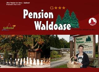 Pension Waldoase Hirschbuchenkopf, Aachen
