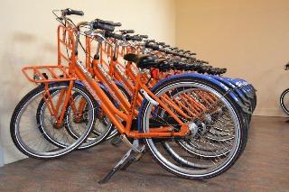 Stayokay Haarlem, Amsterdam and vicinity