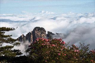 Crowne Plaza Huangshan Yucheng