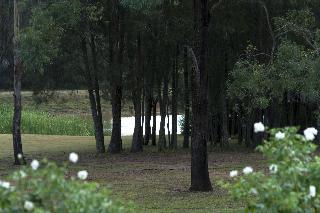Thistle Hill