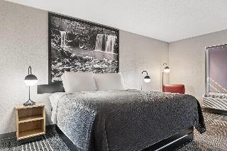 Room Room
