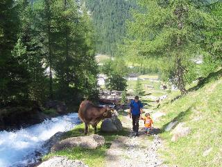 Hotel Stilfserhof, Italian Alps