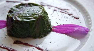 Hotel Paganella Gourmet & Relax, Italian Alps