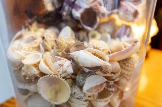 Flight + Stay at Manolita image 49