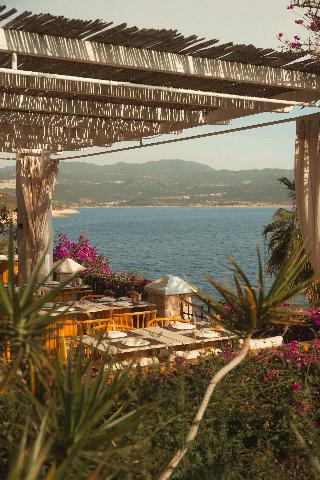 Tamara Prive Adult Only+12