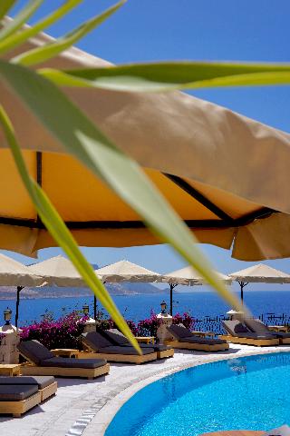Tamara Prive Adult Only+12