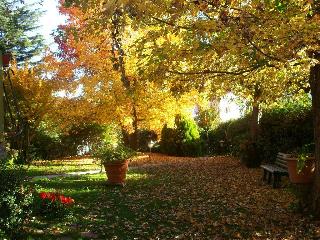 Al Tondone, Lucca