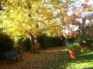 Al Tondone, Lucca