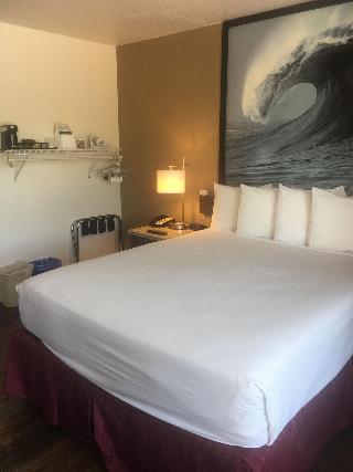Room Room