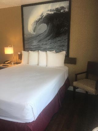 Room Room