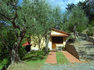 Le Capanne, Lucca