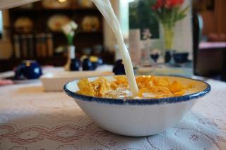 The Lawn Guest House, Londyn