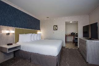 1 KING BED,NSMK,COURT,MICRFG,FLATSC,CONTINENTAL BREAKFAST