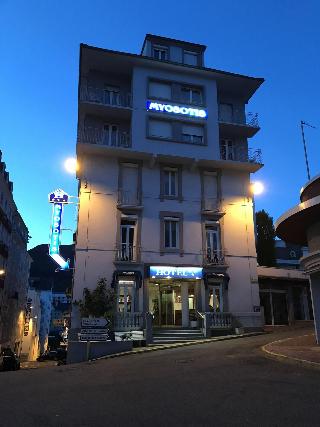 Myosotis