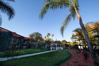 Palm Garden
