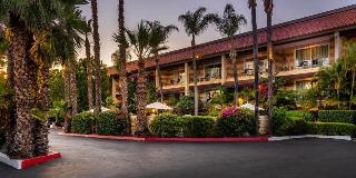 Hotel Pepper Tree Boutique Kitchen Studios