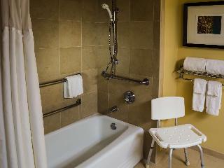 Accessible - 2 Queen Accessible Bathroom Shower Chair Audible Door Knocker Flat Screen Television De