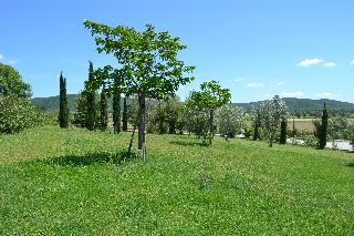 Antico Borgo Casalappi, Livorno