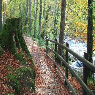 Roe Park Resort, County Londonderry