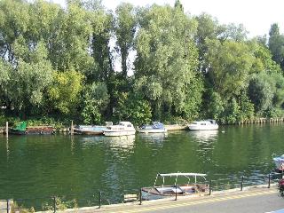 The Thames, Maidenhead