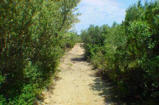 Porto Puddu, North Sardinia