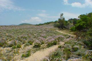 Porto Puddu, North Sardinia