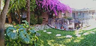 Albergo Pace, Naples