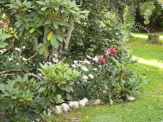 General view thumbnail 62