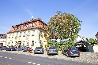 Goldener Adler