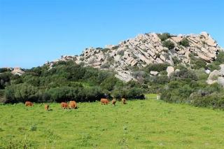 Costa Serena Village Boschetto Holiday, North Sardinia