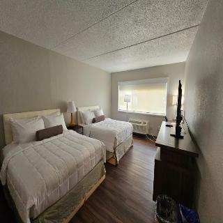 Room Room