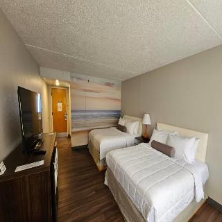 Room Room