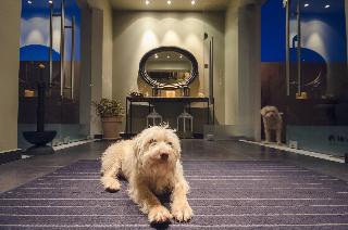 Perivoli Country Hotel & Retreat