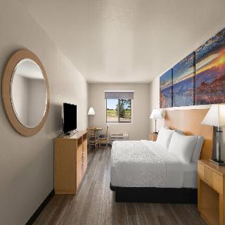 Room Room