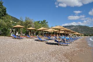 Apollon