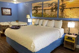 1 King Bed Deluxe Room Exterior Non-Smoking