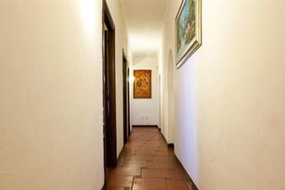 Stelle d'Europa, Rome