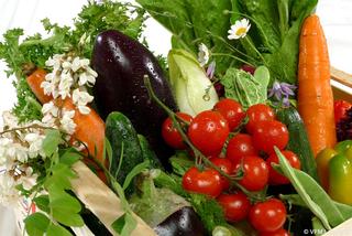 Grand Palazzo Della Fonte, Rome